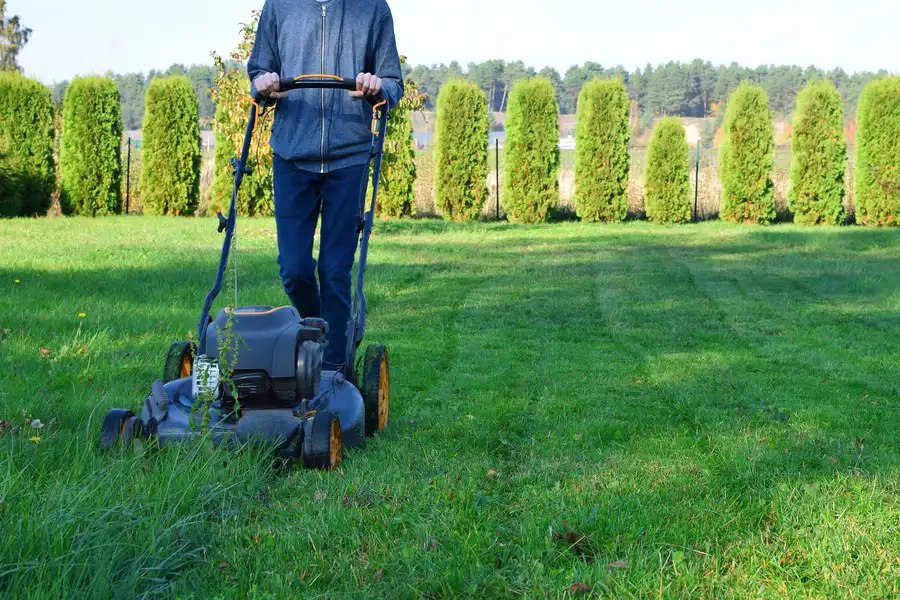Common Lawn Mowing Mistakes And How To Avoid Them Ruston, LA Common Lawn Mowing Mistakes And How To Avoid Them Ruston, LA