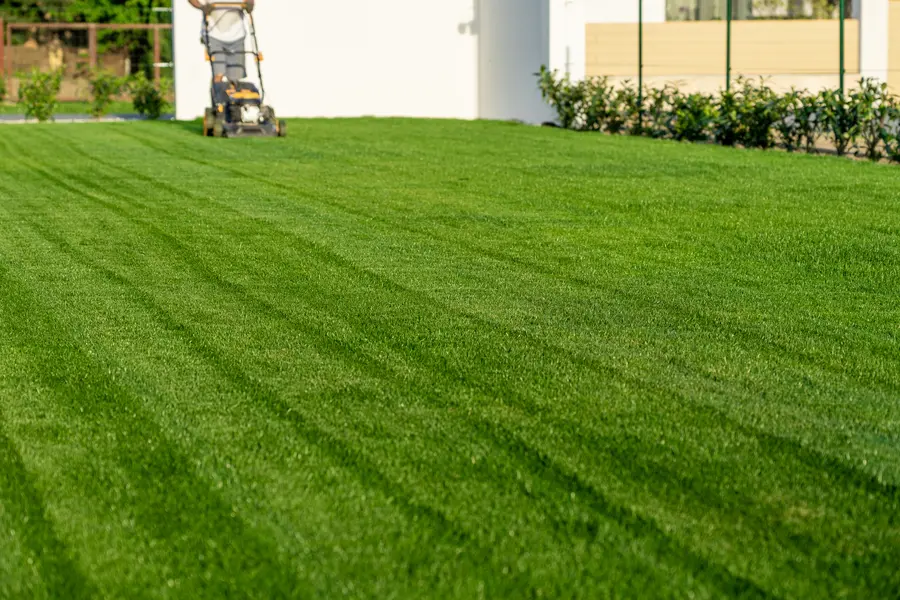 Common Lawn Mowing Mistakes And How To Avoid Them in Ruston, LA Common Lawn Mowing Mistakes And How To Avoid Them in Ruston, LA