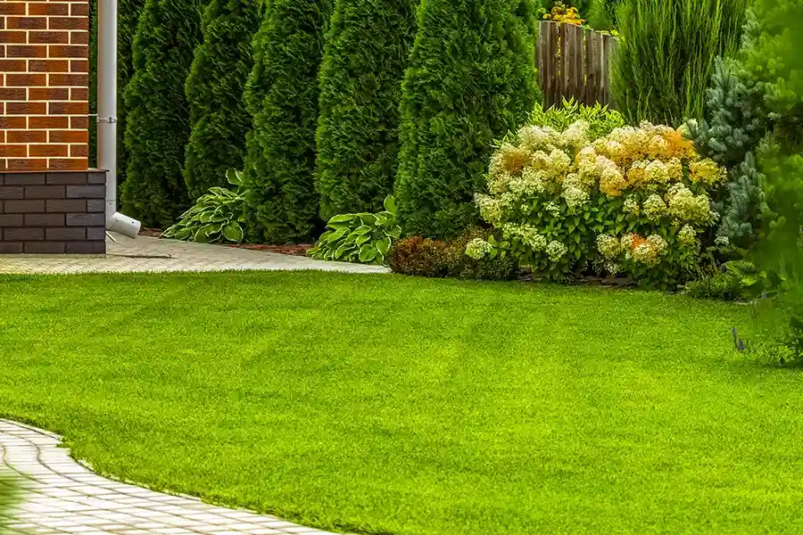 Expert Lawn Care Ruston, LA Expert Lawn Care Ruston, LA
