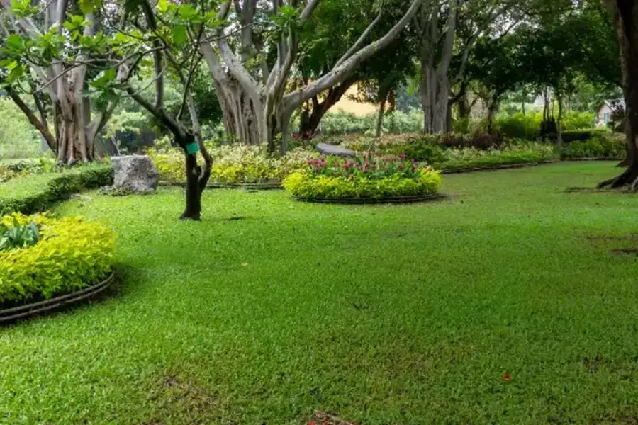 Key Steps To Keep Your Lawn Lush And Green Year-round Ruston, LA Key Steps To Keep Your Lawn Lush And Green Year-round Ruston, LA