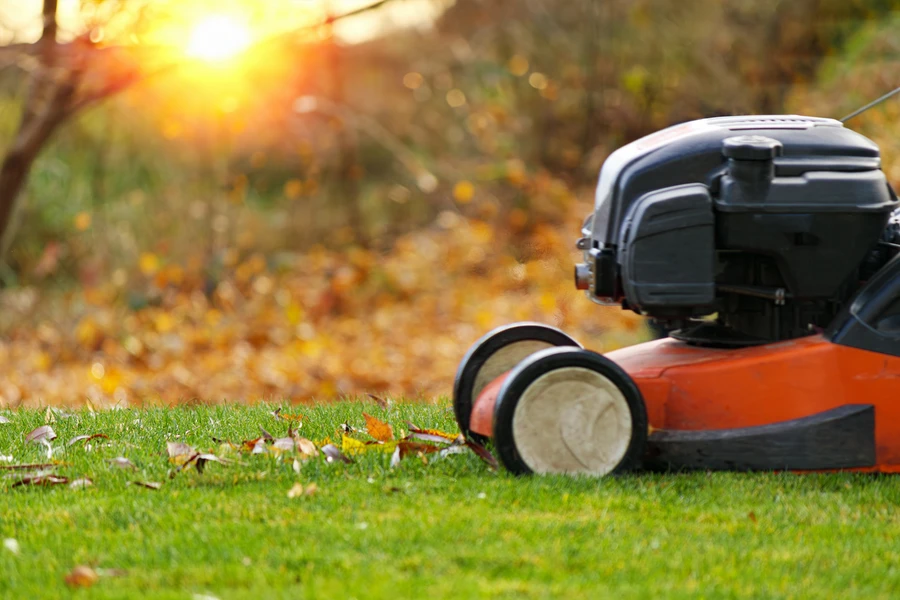 Lawn Care Mistakes To Avoid For A Healthier Lawn in Ruston, LA Lawn Care Mistakes To Avoid For A Healthier Lawn in Ruston, LA