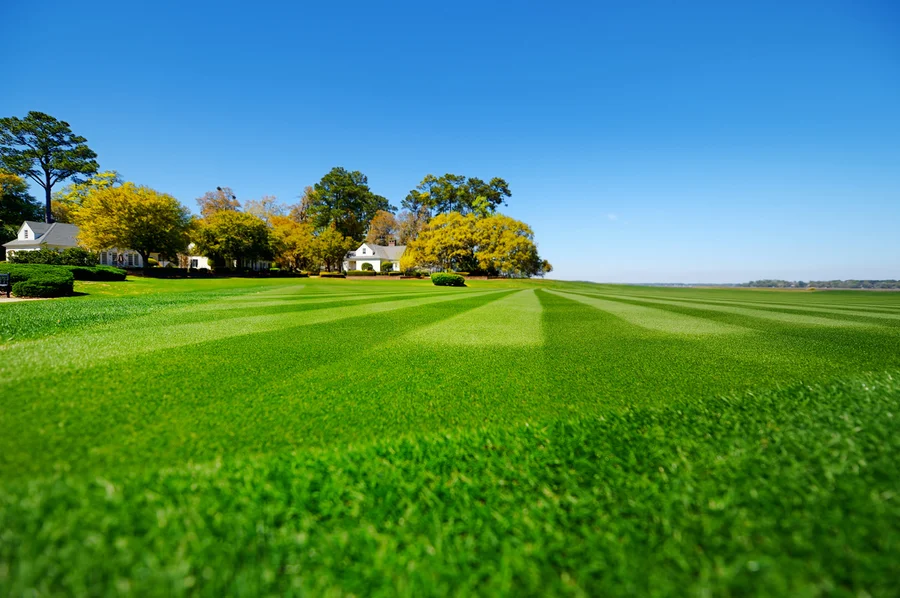 Lawn Care Tools Every Professional Landscaper Needs in Ruston, LA Lawn Care Tools Every Professional Landscaper Needs in Ruston, LA