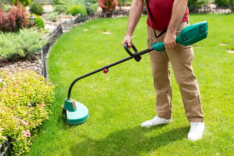 Local Lawn Care Ruston, LA Local Lawn Care Ruston, LA