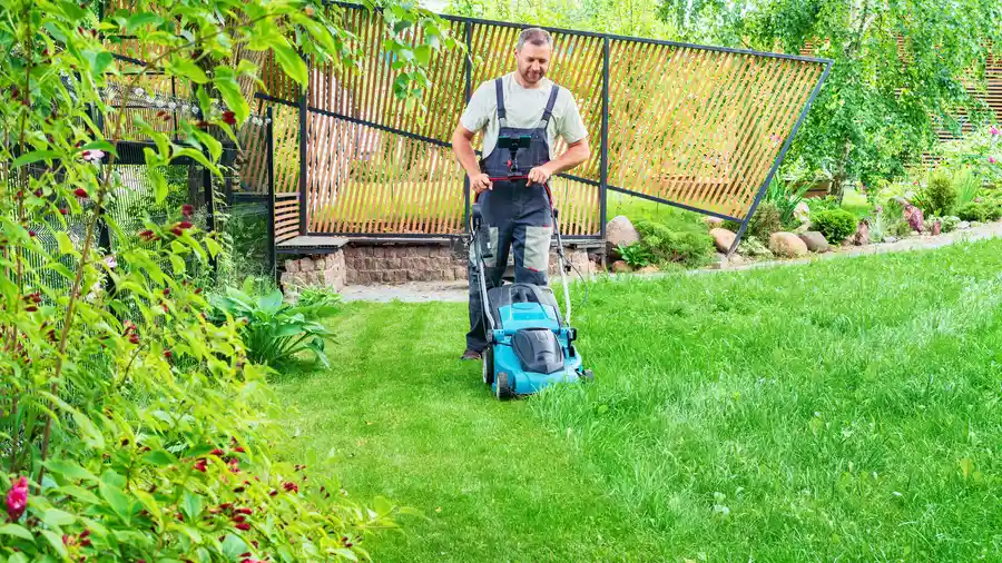Professional Lawn Mowing Ruston, LA Professional Lawn Mowing Ruston, LA