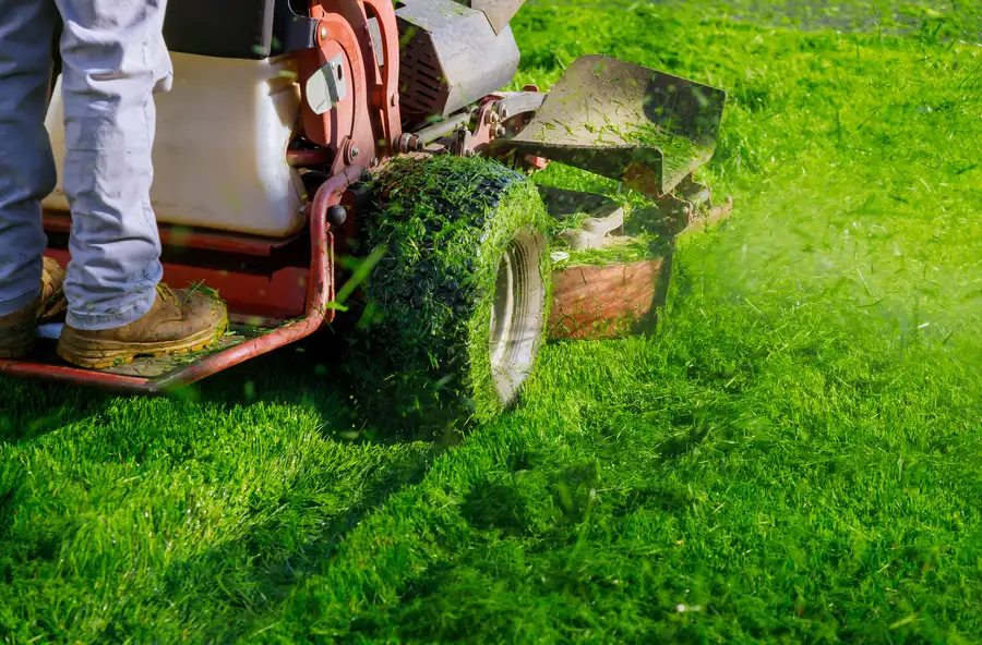 Reliable Lawn Mowing Ruston, LA Reliable Lawn Mowing Ruston, LA