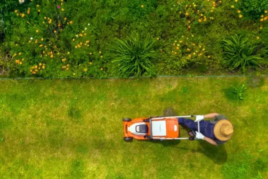 Reputable Lawn Maintenance Ruston, LA Reputable Lawn Maintenance Ruston, LA