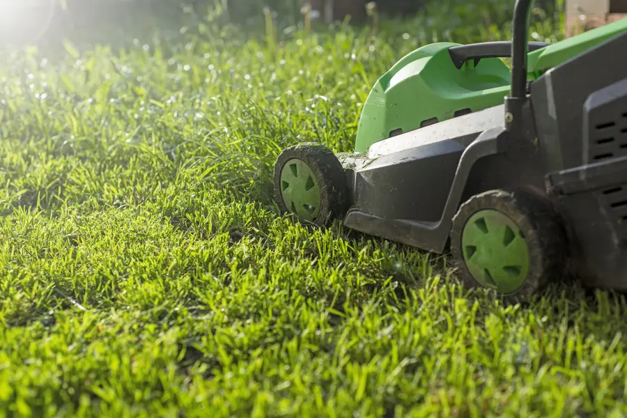 The Role Of Regular Lawn Mowing In Healthy Grass Growth in Ruston, LA The Role Of Regular Lawn Mowing In Healthy Grass Growth in Ruston, LA